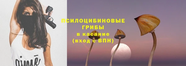 прущие крисы Арсеньев
