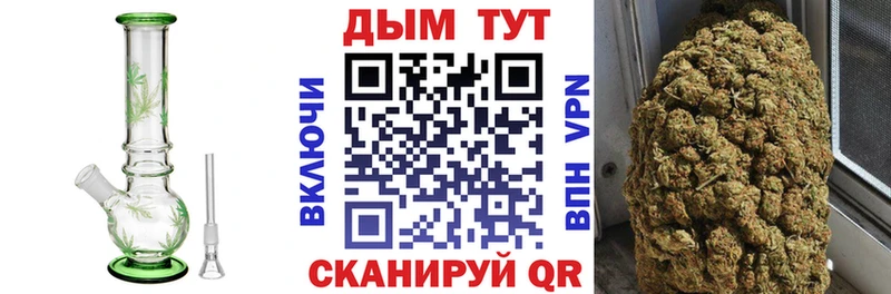 Каннабис OG Kush Протвино